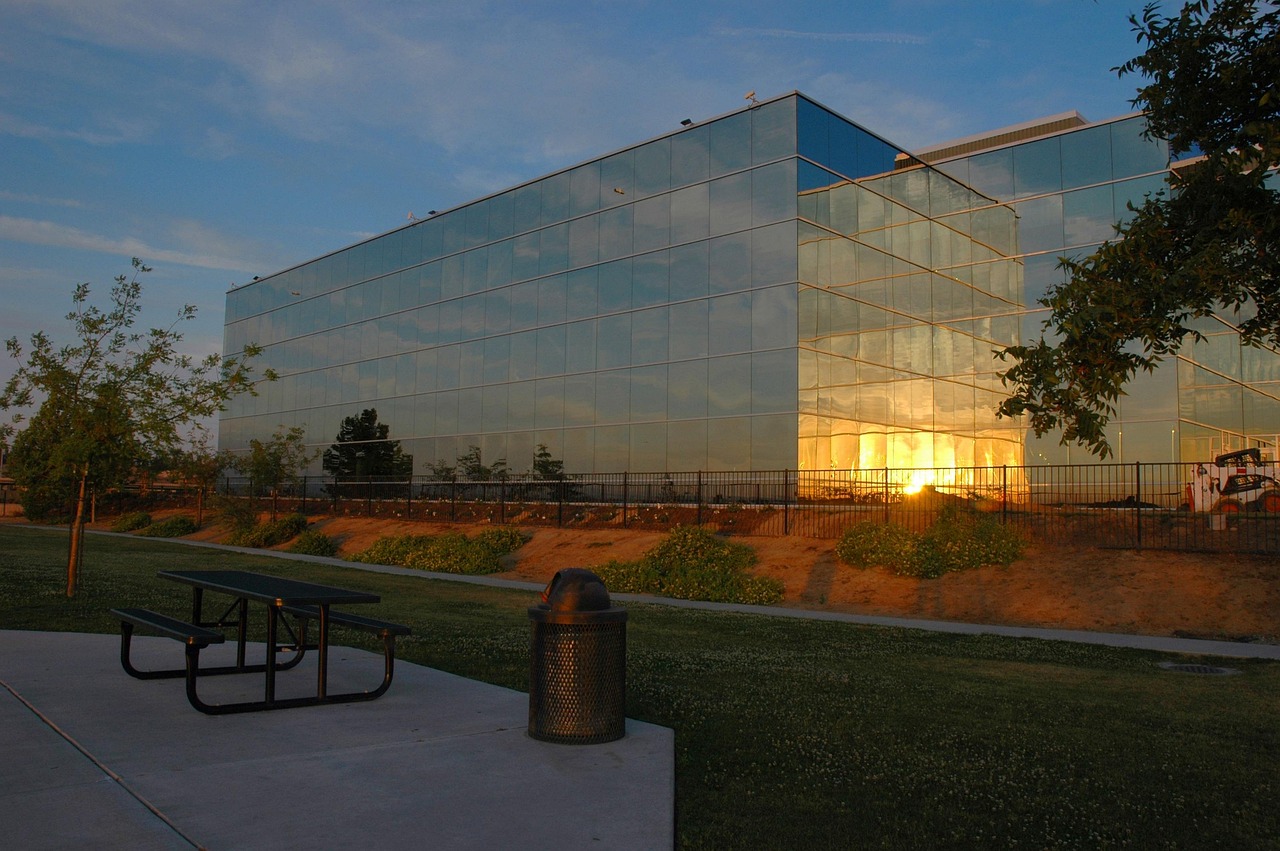 Business consulting and professional services